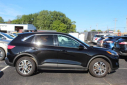 Thumbnail image of 2022 Ford Escape at Fremont Ford