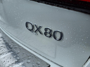 Thumbnail image of 2021 INFINITI QX80 at Circle Infiniti