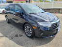 Thumbnail image of 2022 Honda Odyssey at The New Babylon Honda