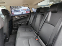 Thumbnail image of 2021 Honda Civic at Frank Brown Honda GMC