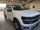 Thumbnail image of 2024 Ford F-150 at Ricart Used
