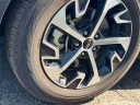 Thumbnail image of 2023 Kia Sportage at Spitzer Kia