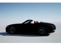 Thumbnail image of 2025 Mercedes-Benz SL-Class at MercedesBenzOfNovi of Novi, MI
