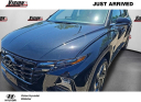 2024 Hyundai TUCSON Limited at Vision Hyundai Webster