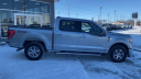 Thumbnail image of 2023 Ford F-150 at Les Stumpf Ford - New and Used