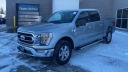 2023 Ford F-150 XLT at Les Stumpf Ford - New and Used