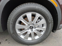 Thumbnail image of 2023 Hyundai PALISADE at Brown Daub Volvo Cars Lehigh Valley