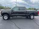Thumbnail image of 2024 Ford F-250 Super Duty at Tapp Motors
