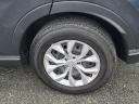 Thumbnail image of 2025 Honda CR-V at The New Babylon Honda