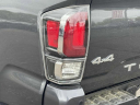Thumbnail image of 2020 Toyota Tacoma at Riverhead Toyota