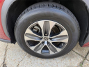 2023 Toyota Highlander XLE at Palmers Airport Hyundai