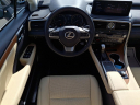 Thumbnail image of 2021 Lexus RX 350 at Brogan Cadillac of Totowa