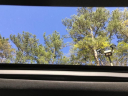 Thumbnail image of 2018 Lincoln MKX at Five Star Chevrolet-cadillac