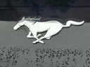 Thumbnail image of 2024 Ford Mustang at Faulkner Nissan Used