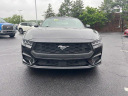 Thumbnail image of 2024 Ford Mustang at Faulkner Nissan Used