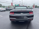 Thumbnail image of 2024 Ford Mustang at Faulkner Nissan Used