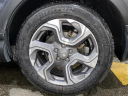 Thumbnail image of 2019 Honda CR-V at Stanley Automotive Enterprises Inc.