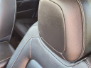 Thumbnail image of 2022 GMC Canyon at Glenn Polk Ford Autoplex