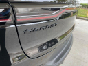 Thumbnail image of 2023 Dodge Hornet at University Dodge Ram