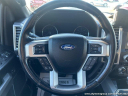 2017 Ford F-150 Platinum at Ally Motor Group