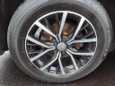 Thumbnail image of 2021 Volkswagen Tiguan at Generation Kia