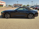 Thumbnail image of 2022 Ford Mustang at Frank Brown Honda GMC