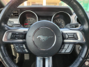 Thumbnail image of 2022 Ford Mustang at Frank Brown Honda GMC