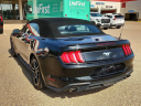 Thumbnail image of 2022 Ford Mustang at Frank Brown Honda GMC