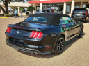 Thumbnail image of 2022 Ford Mustang at Frank Brown Honda GMC