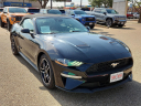 Thumbnail image of 2022 Ford Mustang at Frank Brown Honda GMC