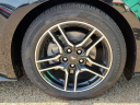 Thumbnail image of 2022 Ford Mustang at Frank Brown Honda GMC