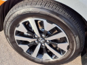 Thumbnail image of 2025 Honda Odyssey at Serra Buick Gmc Champaign
