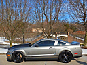 Thumbnail image of 2008 Ford Shelby GT500 at Tower Auto Sales