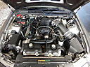 Thumbnail image of 2008 Ford Shelby GT500 at Tower Auto Sales