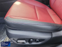 Thumbnail image of 2024 Lexus NX 350 at David Wilsons Villa Ford