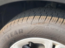 Thumbnail image of 2023 Dodge Hornet at Westborn Chrysler-Jeep