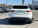 Thumbnail image of 2019 Jaguar F-PACE at Lasco Ford