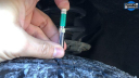 Thumbnail image of 2020 Ford Explorer at Jim Riehl's Friendly Chrysler Dodge Jeep Ram of Lapeer