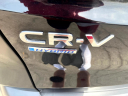 Thumbnail image of 2024 Honda CR-V Hybrid at Rockland Motors