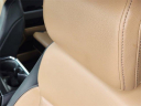 Thumbnail image of 2023 Ford F-150 at Glenn Polk CDJR Used