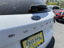 Thumbnail image of 2022 Ford Escape Plug-In Hybrid at Dana Ford Lincoln