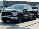 2022 Ford F-150 XLT at Lasco Ford