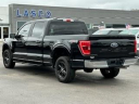 Thumbnail image of 2022 Ford F-150 at Lasco Ford