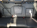 Thumbnail image of 2023 Chevrolet Silverado 1500 at TuranFoleyUSED of Gulfport, MS
