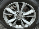Thumbnail image of 2022 Dodge Challenger at Montrose Ford
