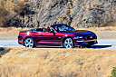 Thumbnail image of 2020 Ford Mustang at Demo Location One