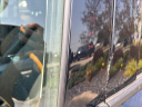 Thumbnail image of 2021 Ford Bronco Sport at Tri-Motor Sales Inc