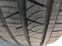 Thumbnail image of 2019 Audi SQ5 at TamiamiFord of North Naples, FL