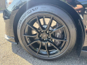 Thumbnail image of 2019 Ford Mustang at Newins Bay Shore Ford
