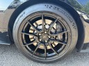 Thumbnail image of 2019 Ford Mustang at Newins Bay Shore Ford